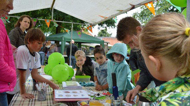 Ganzenmarkt (zondag  3 juli 2016)
